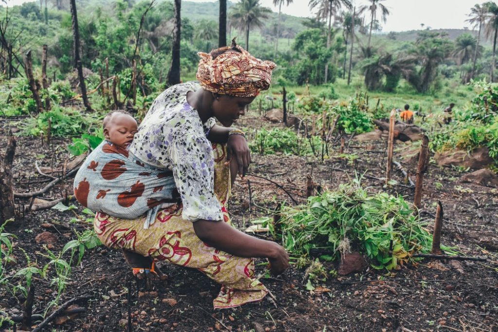 woman with baby planting in garden